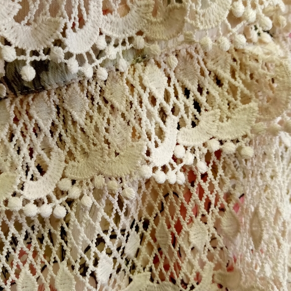 Rose Velvet Floral Dress - Picture 7 of 10